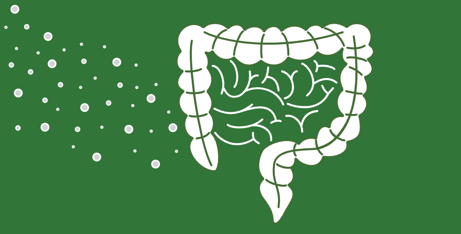 clanek 7 - pece 2026 3